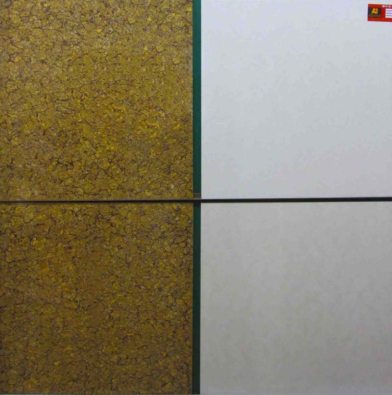地砖800x800特写---迁安沙河驿海龙建筑陶瓷