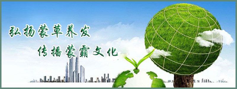 蒙霸绿色养发.jpg