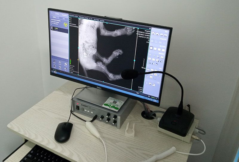 迁安市宠物医院-DR数字化成像X光实拍.jpg