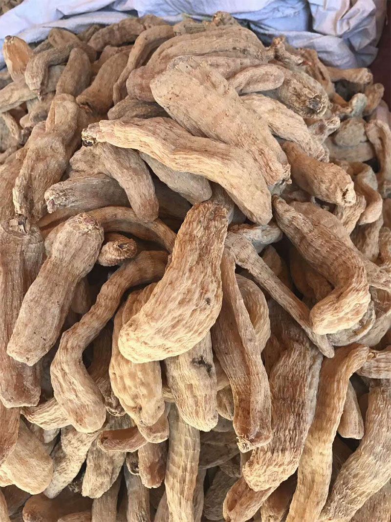 天麻实拍.jpg