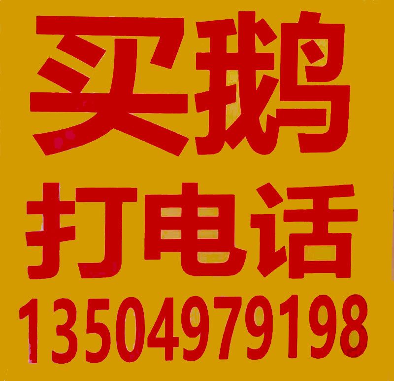 电话.jpg